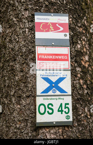 Sentier de randonnée pédestre inscriptions sur tronc d'arbre, Döbraberg près de Schwarzenbach am Wald, la forêt de Franconie, Haute-Franconie, Franconia Banque D'Images