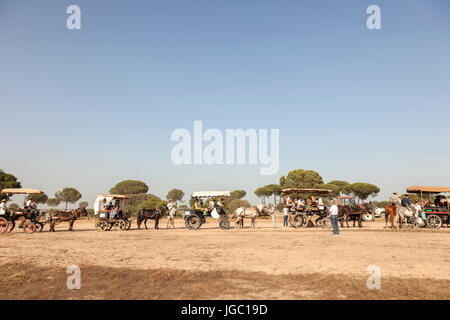 El Rocio, Espagne - juin 1, 2017 : Procession de pèlerins avec voitures à cheval sur la route d'El Rocio pendant la Romeria 2017. Province de Huelva, un Banque D'Images