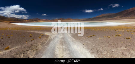 Lac de Tuyajto, désert d'Atacama, Chili Banque D'Images