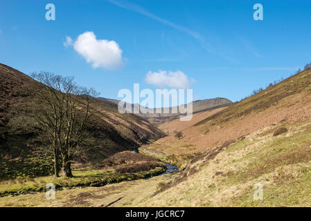 Promenade le long du ruisseau à Fairbrook dans le Peak District. Vue de Fairbrook sur Kinder Scout.  ? Banque D'Images