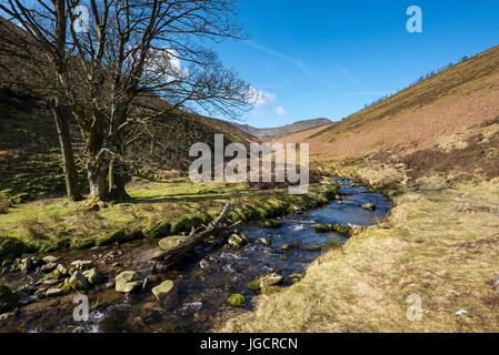 Promenade le long du ruisseau à Fairbrook dans le Peak District. Vue de Fairbrook sur Kinder Scout.  ? Banque D'Images