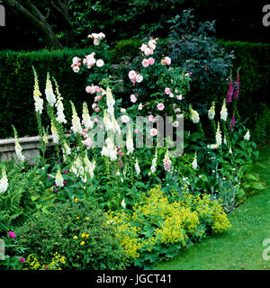 Flower bed in garden Banque D'Images