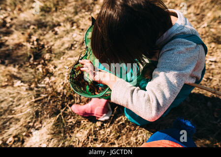 Girl looking at water bugs dans un filet de pêche Banque D'Images