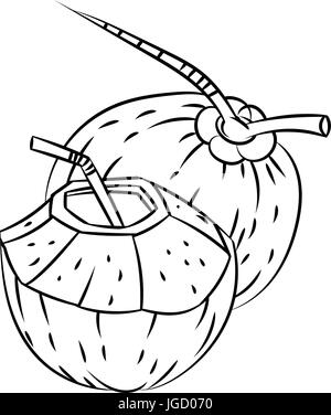 Croquis dessinés à la main, de l'eau de coco et de noix de coco, noir et blanc isolé Cartoon Vector Illustration pour livre de coloriage - Ligne dessinée Vector Illustration de Vecteur