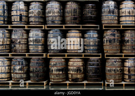 Barils de whisky dans une distillerie de West Cork, Irlande. Banque D'Images