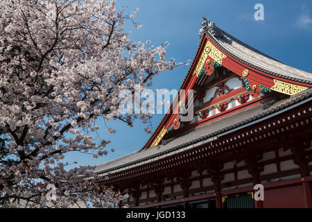 L'architecture traditionnelle de la pagode du temple Sensoji à Asakusa, Tokyo, Japon. Banque D'Images