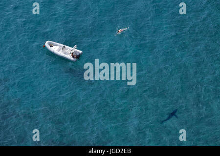 Vue aérienne d'un nageur et un requin blanc dans l'eau avec un bateau de vitesse sur un fond bleu clair de l'eau de mer Banque D'Images