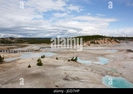 Promenades dans la partie du bassin en porcelaine de Norris Geyser Basin dans le Parc National de Yellowstone Banque D'Images