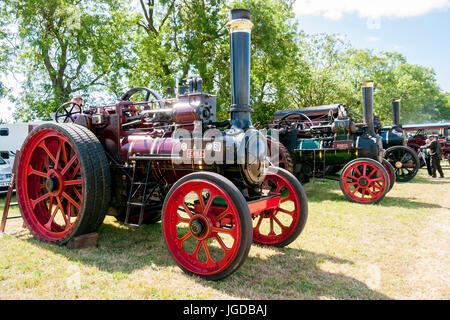 Une ligne de moteurs de traction agricole vintage à un rallye à vapeur Banque D'Images