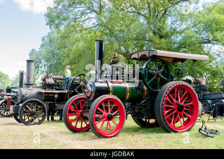 Une ligne de moteurs de traction agricole vintage à un rallye à vapeur Banque D'Images