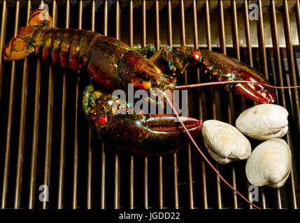 Clam bake et homard Banque D'Images