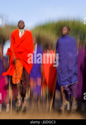 KENYA, Masai Mara - 19 juillet 2011 : l'homme d'une tribu Masai montre sauts rituel. Banque D'Images