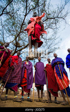 KENYA, Masai Mara - 19 juillet 2011 : l'homme d'une tribu Masai montre sauts rituel. Banque D'Images