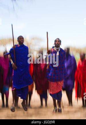 KENYA, Masai Mara - 19 juillet 2011 : l'homme d'une tribu Masai montre sauts rituel. Banque D'Images