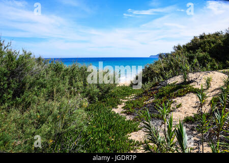 En regardant à travers les dunes de sable près de Vila Baleira, Porto Santo, Portugal vers les eaux turquoises de l'Océan Atlantique Banque D'Images