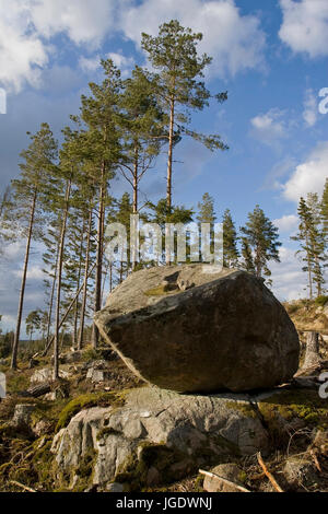 Paysages de la Suède, V ?stergotland, Landschaft in Schweden, Västergotland Banque D'Images