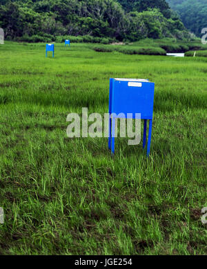 Pièges à moustiques dans un marais salé, Cape Cod, Massachusetts, États-Unis. Banque D'Images