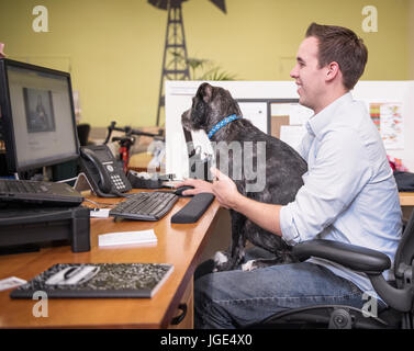 Man in office avec chien assis dans lap Banque D'Images