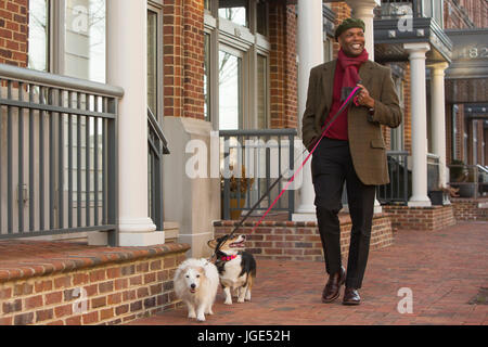 African American man walking dogs sur un trottoir de la ville Banque D'Images