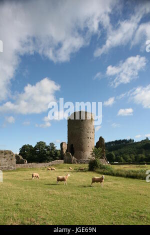 Château Tretower, Powys, Pays de Galles, douzième siècle garder shell avec tour ronde du xiiie siècle Banque D'Images