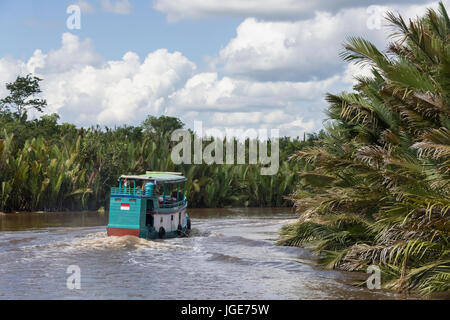 Rivière De Watu Klotok bateau sur la rivière Sekonyer, parc national de Tanjung Puting, province de Kalimantan, l'île de Bornéo Banque D'Images