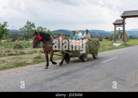 Hay chariot tiré par des chevaux sur une route dans la région de Maramures Banque D'Images