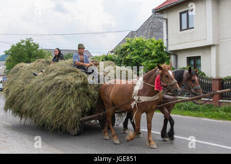 Hay chariot tiré par des chevaux sur une route dans la région de Maramures Banque D'Images