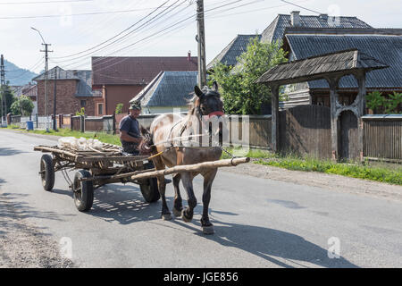 Hay chariot tiré par des chevaux sur une route dans la région de Maramures, Roumanie Banque D'Images