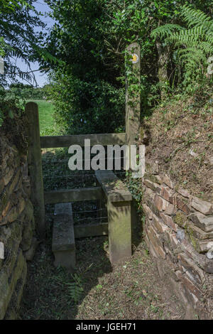 Sentier Public stile situé dans une haie. Banque D'Images