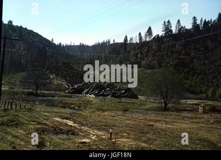 Un gros tas de billes de arbres abattus est visible dans une zone boisée, avec un passage sur le fil utilisé pour déplacer la grue de sciage et une coupe claire, aride zone visible dans l'avant-plan, en Californie, 1950. Remarque : l'image a été colorisée numériquement à l'aide d'un processus moderne. Les couleurs peuvent ne pas être exacts à l'autre. Banque D'Images