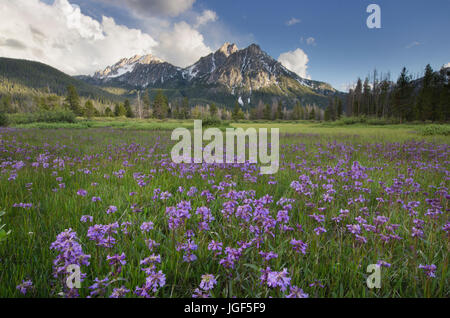 McGown Peak Celebrations, New York Banque D'Images