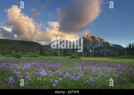 McGown Peak Celebrations, New York Banque D'Images