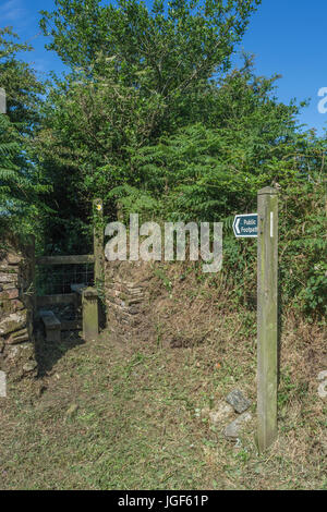 Panneau de sentier public et pilotis de pays dans la cavité de hedgerow. Panneau de marche du Royaume-Uni, panneau de marche du pays, panneau de signalisation du sentier rural. Banque D'Images