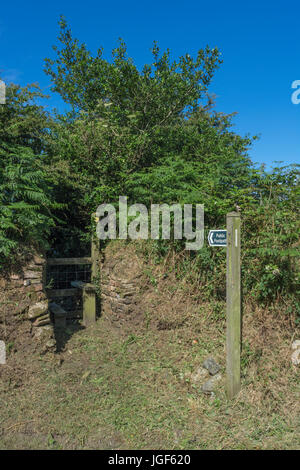 Panneau de sentier public et pilotis de pays dans la cavité de hedgerow. Panneau de marche du Royaume-Uni, panneau de marche du pays, panneau de signalisation du sentier rural. Banque D'Images