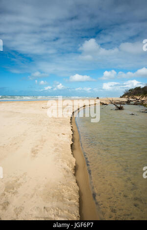 River Eli Creek, Parc National de Great Sandy, Fraser Island, Queensland, Australie. Banque D'Images