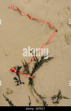 Les détritus et débris laissés sur la plage après gallois des vents forts et des conditions météorologiques sévères. UK. Banque D'Images