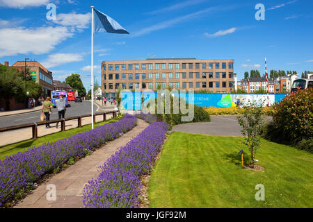 Chemins bordés de lavande sur un nouveau développement d'habitations de la ville de York sous un ciel d'été bleu Banque D'Images