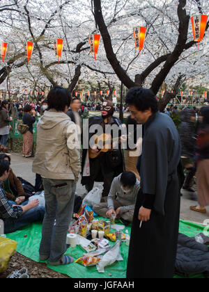 Hanami, la visualisation, l'Onue cherry blossom Park, Tokyo, Japon. Party Time au Japon. Banque D'Images