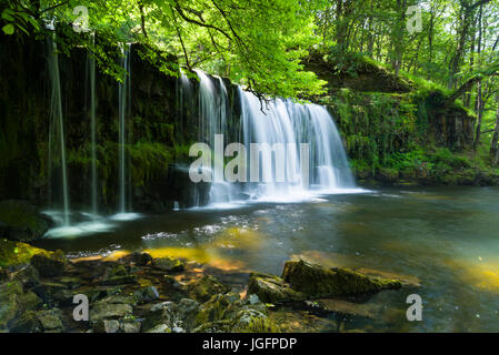 Cascade Sgwd Ddwli Uchaf (Upper Gushing Falls) sur le Nedd Fechan dans le parc national de Bannau Brycheiniog (Brecon Beacons) près de Pontneddfechan, Powys, pays de Galles. Banque D'Images