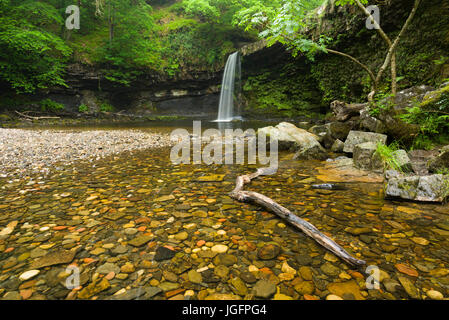 Cascade de Sgwd Gwladus (Lady's Falls) sur Afon Pyrddin dans le parc national de Bannau Brycheiniog (Brecon Beacons) près de Pontneddfechan, Powys, pays de Galles. Banque D'Images