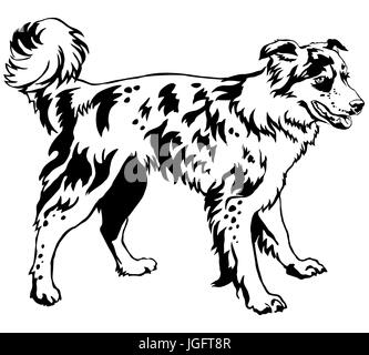 Portrait de décoration de l'article profil de chien border collie, vector illustration en couleur noir isolé sur fond blanc Illustration de Vecteur