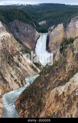 Vue sur la Lower Falls vu de point de l'artiste dans le Parc National de Yellowstone Banque D'Images