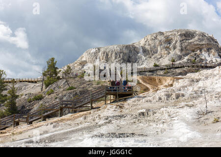 Les touristes sur les trottoirs et les escaliers à Minerva exposée au Mammoth Hot Springs, Parc National de Yellowstone Banque D'Images