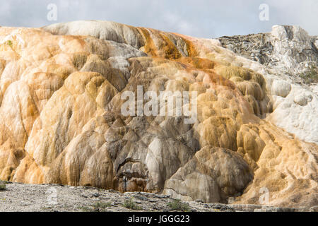 Détail de Cléopâtre exposée au Mammoth Hot Springs, Parc National de Yellowstone Banque D'Images