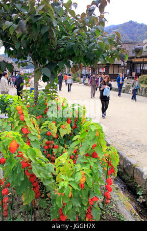 Rue principale de floraison de Ouchi-juku dans Shimogo Japon Fukushima Banque D'Images