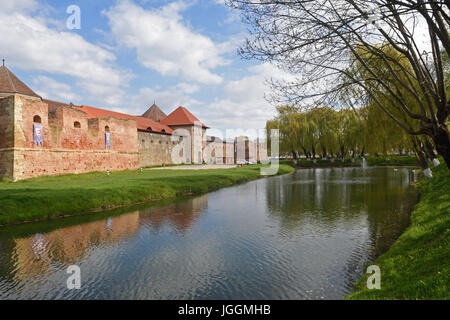 Forteresse de Fagaras Brasov, Roumanie Banque D'Images