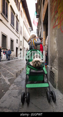 Deux chiens dans une poussette sur une rue Florence, Italie Banque D'Images