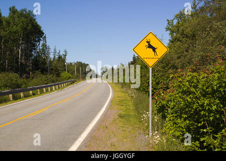 Deer crossing sign sur une route de campagne Banque D'Images