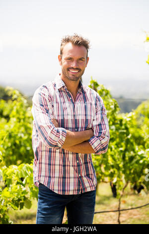 Portrait of smiling young man with arms crossed au vignoble Banque D'Images