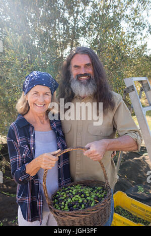 Portrait of happy couple holding panier plein d'olives dans la région de farm Banque D'Images